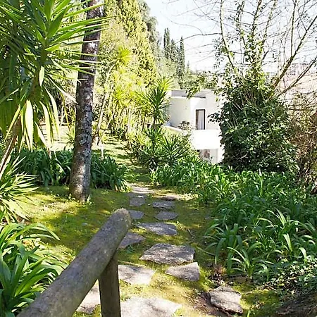 Challet Fonte Nova Gasthof 4*